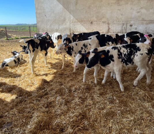 Los contratos de leche superiores a seis meses podrán ser revisados