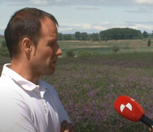 Campo Palentino – 19 de mayo de 2022