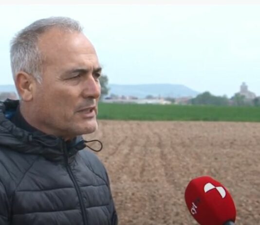 Campo Palentino – 5 de mayo de 2022