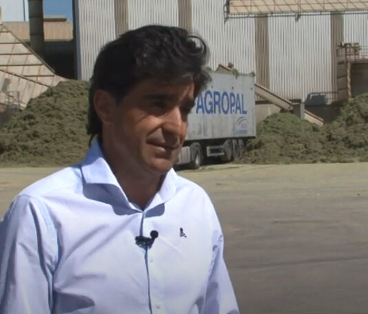 Campo Palentino – 12 de mayo de 2022