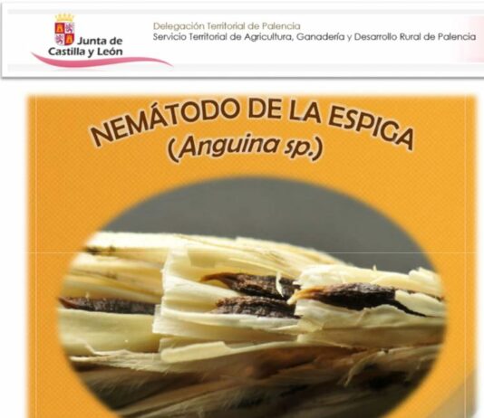 La anguina preocupa en Paredes de Nava y Fuentes de Nava