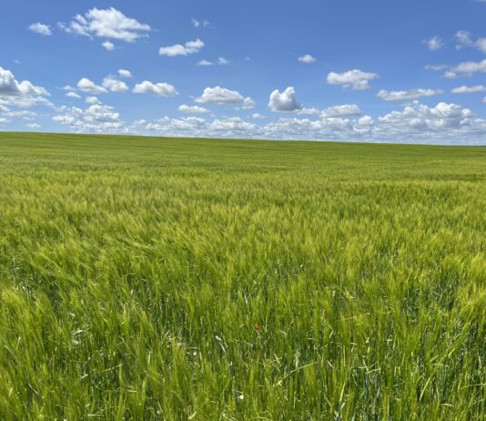 Los tribunales dan la razón a ASAJA al ampliar los beneficios fiscales de explotación prioritaria a los matrimonios en gananciales que adquieran fincas y bienes