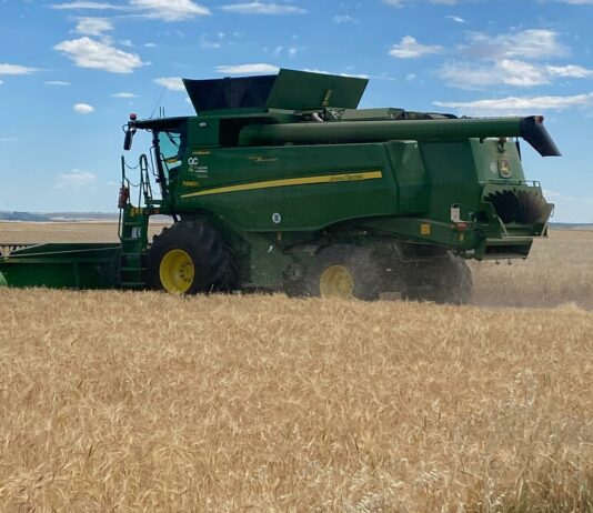 Comienza la recolección de cereales de invierno en Palencia