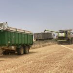 COSECHA 2022 CEBADA 2