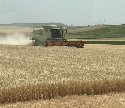 El Gobierno aprueba medidas destinadas al sector agrario