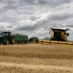 COSECHA 2022 CEBADA 4