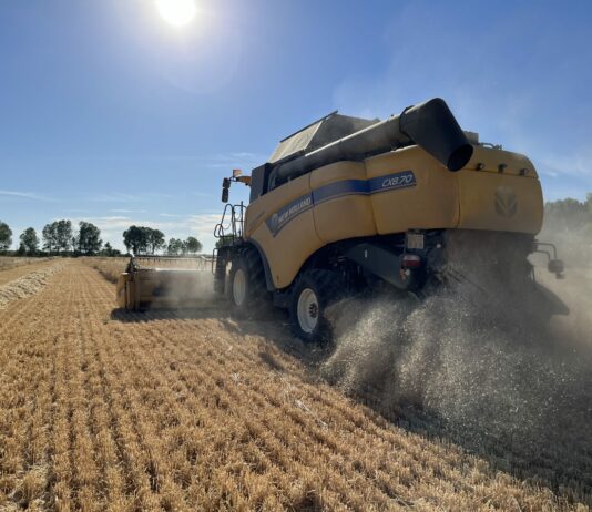 La Junta abre este miércoles 12 de junio la época de riesgo alto de incendios, que cerrará el 12 de octubre