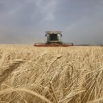 Datos a tener en cuenta en la cosecha