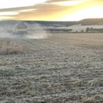 COSECHA CEBADA 2022 2