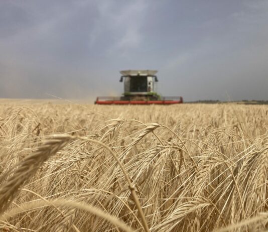 Datos a tener en cuenta en la cosecha