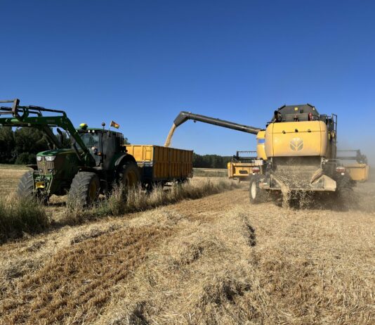 La cebada es el único cereal que resiste los descensos en las cotizaciones de la Lonja de León