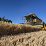 COSECHA CEBADA 5 (2)