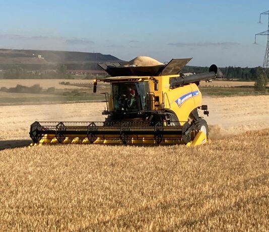 Comienza la época de alto peligro de incendios forestales