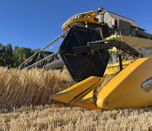 Un millón de toneladas de cereales de invierno convierten la cosecha en media y superan las negativas perspectivas iniciales