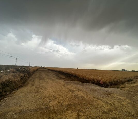 Se licita un nuevo tramo del AVE Palencia-Santander