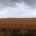 EXPROPIACIÓN CEBADA