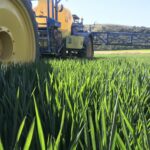 FITOSANITARIOS HERBICIDA TRATAMIENTO