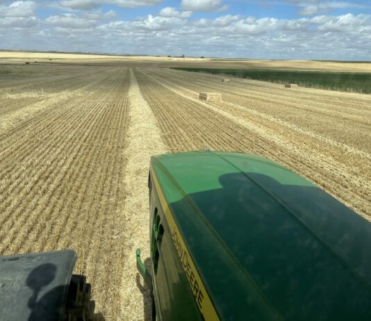 La «alerta» por incendios forestales se prolonga hasta el día 10 de agosto