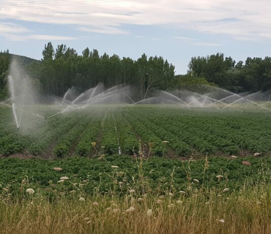 ASAJA pide a la Consejería que mueva ficha y aporte fondos propios a las ayudas al campo por el incremento de los costes de producción debidos a la guerra en Ucrania