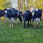 PHOTO-2022-05-24-21-55-30