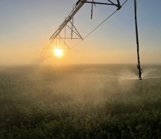 Carrión y Pisuerga entran en «alerta»