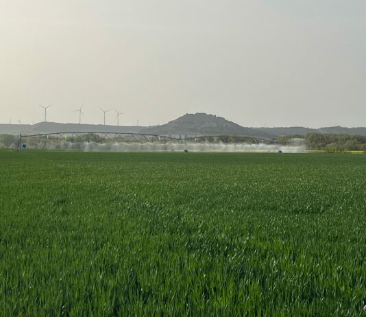 El TSJCyL confirma que los «pozos de minas» no han prescrito