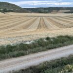 La labor con aperos no se permite hasta el 1 de septiembre en las parcelas cosechadas para grano