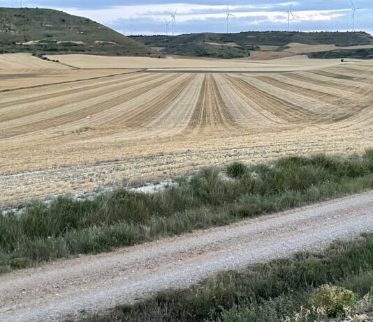 La labor con aperos no se permite hasta el 1 de septiembre en las parcelas cosechadas para grano