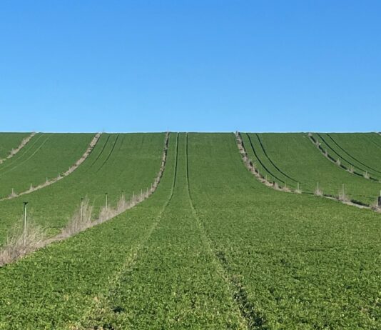 Las compraventas de fincas rústicas se mantuvieron en la media en el año 2021