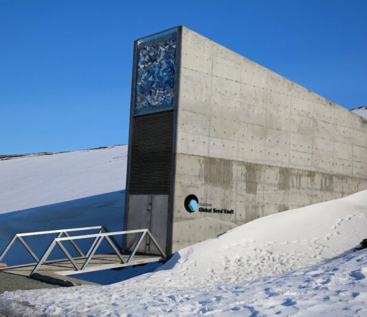 España deposita mil variedades en el banco mundial de semillas de Svalbard (Noruega)