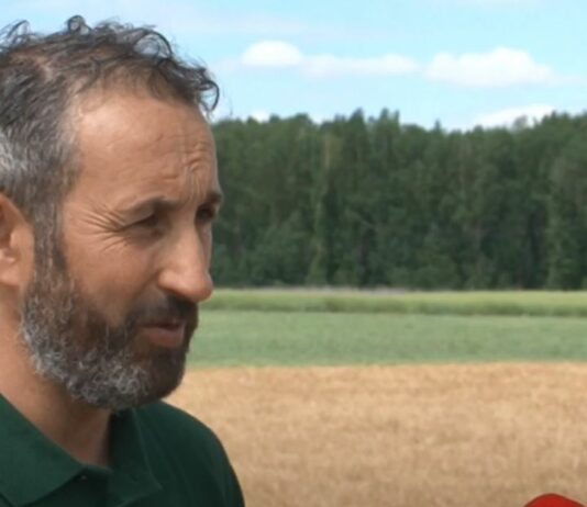 Campo Palentino – 2 de junio de 2022