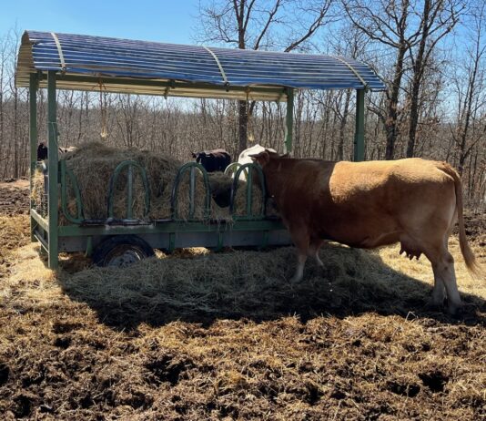 Publicada una ayuda excepcional para algunas ganaderías de carne