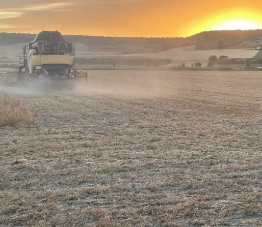 Varían las restricciones para cosechar del 20 al 24 de julio. Se permite cosechar a algunas horas (corrección actualizada)