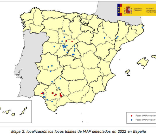 España declarada oficialmente libre de gripe aviar