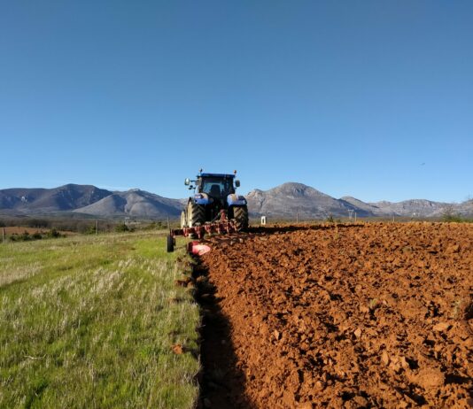 Comienza a abonarse el anticipo de la PAC 2022