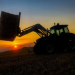 CARGANDO PAJA ATARDECER