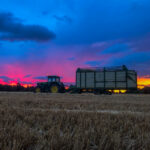 CARRO FORRAJE PAJA ATARDECER