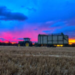 CARRO FORRAJE PAJA ATARDECER 2