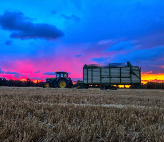 Ampliación de la “Tarifa Plana para autónomos” en Castilla y León