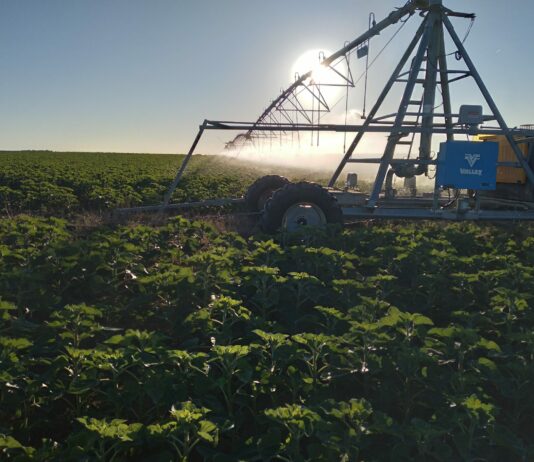 Avanza la difícil campaña de riego de los cultivos de primavera