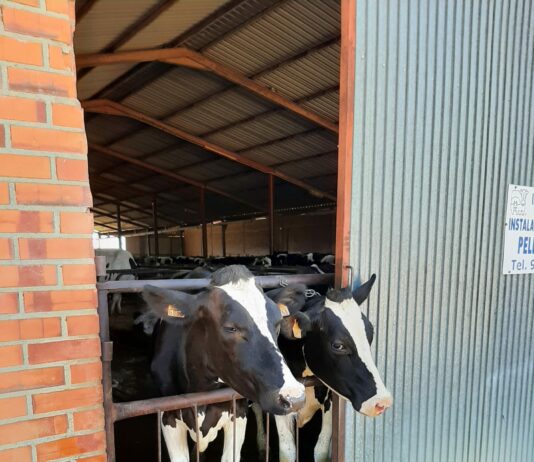 Entra en funcionamiento la nueva extensión de norma de la leche