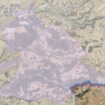 LIC MONTES DEL CERRATO