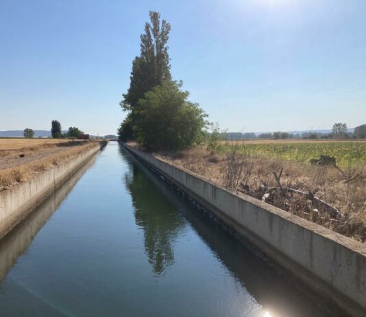 Se licita el mantenimiento de los canales del Pisuerga, Palencia y Villalaco