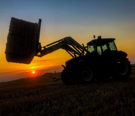 La tasa de reembolso provisional de la disciplina financiera de la PAC 2021 se convierte en definitiva