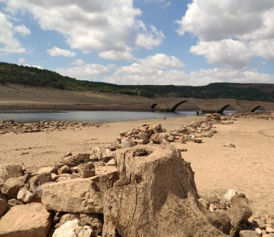 ASAJA se opone rotundamente a que la CHD suelte agua de los embalses de cabecera de los ríos que vierten al Duero para transferirla a Portugal, apelando al convenio de Albufeira