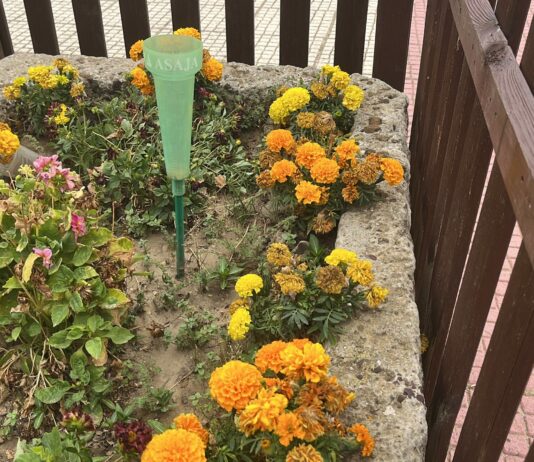 ¿Cuánto llueve en Palencia?