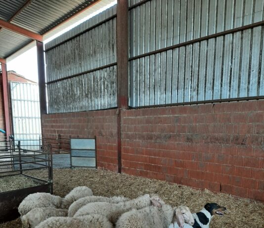 La Ley de derechos animales, una nueva agresión para el mundo rural