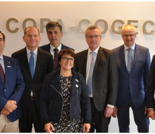 Pedro Gallardo accede a la segunda vicepresidencia del COPA