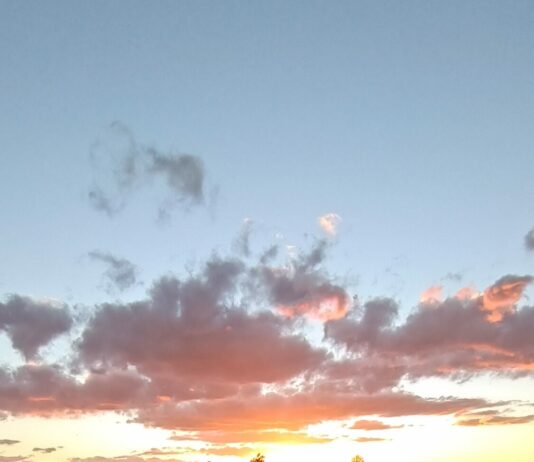 ASAJA valora las medidas de alivio fiscal anunciadas por Mañueco, con repercusiones para el sector agrario