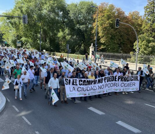 Amplia participación palentina en la manifestación regional celebrada en Valladolid